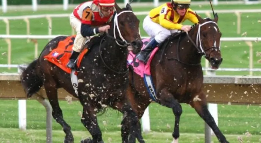 BAŞBAKANLIK KOŞUSU PAZAR GÜNÜ