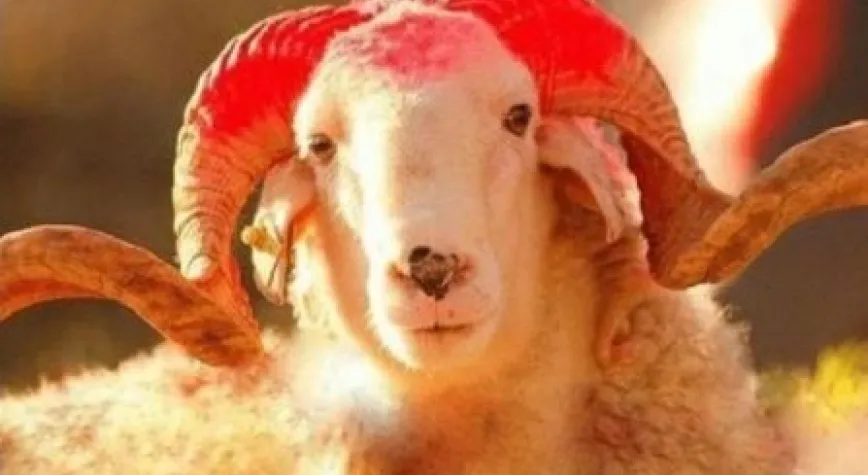 BAYRAMINIZ KUTLU OLSUN!...