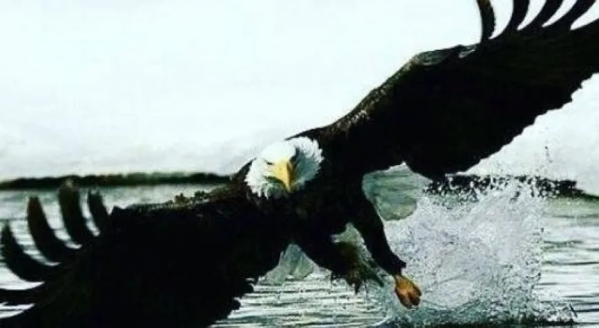 BEŞİKTAŞ 5'LEDİ..