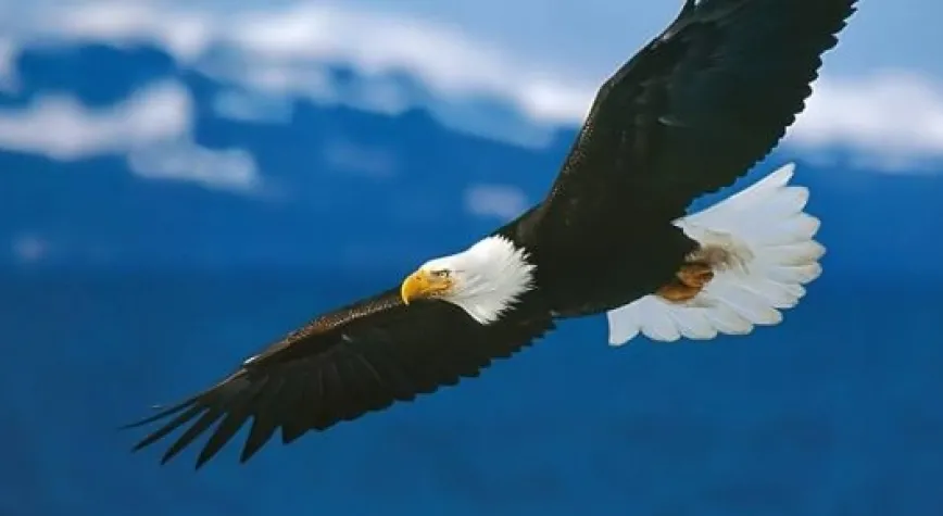 BEŞİKTAŞ FUTBOLUNU 3 GOLLE SÜSLEDİ...