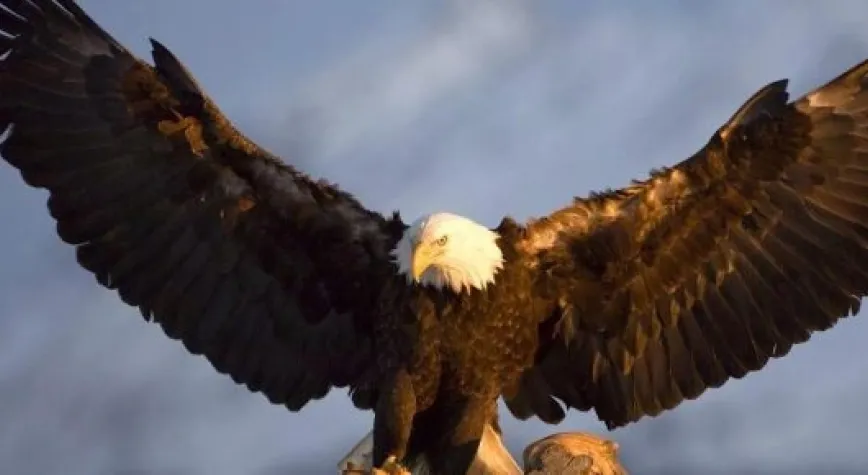 BEŞİKTAŞ GALİP: 3- 1