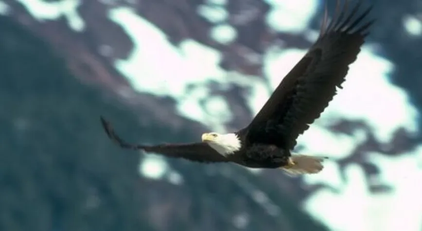 BOŞ SÖZLEŞMEYE İMZA ATTI!..