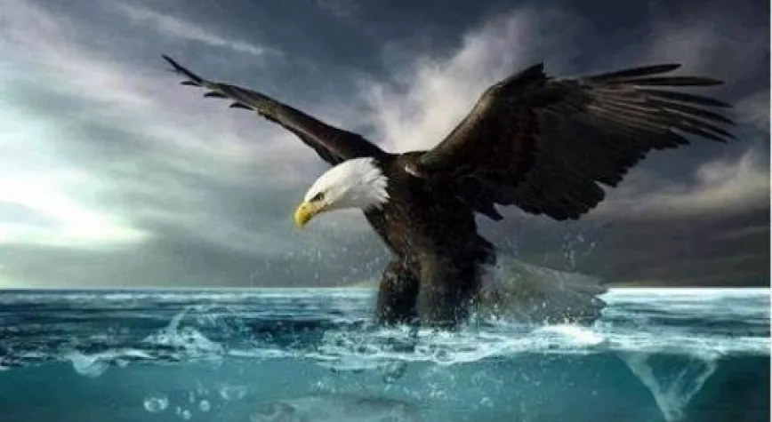 BU KARTAL ÇOK CAN YAKAR!