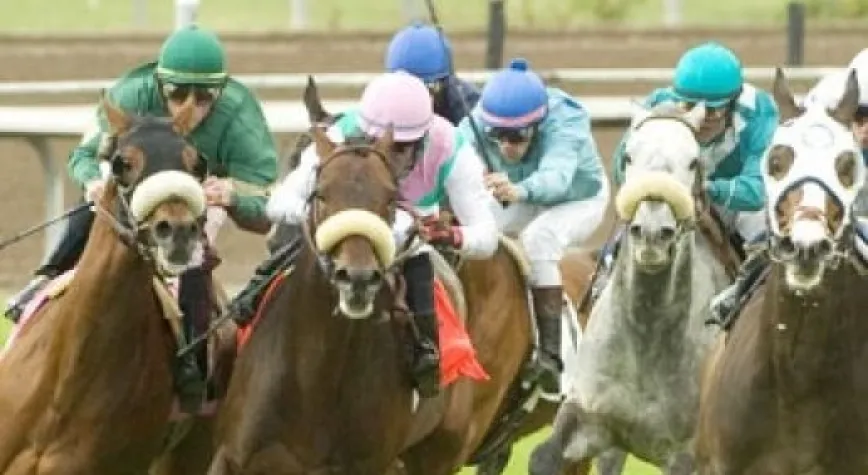 BURSA ALTILISI İYİ PARA VERDİ