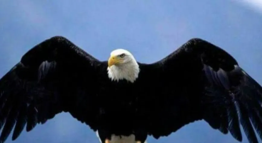 DAHA ÇOK KOŞAN KAZANDI...