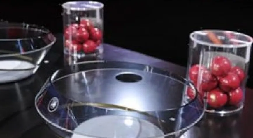 GALATASARAY'IN RAKİBİ BELLİ OLDU!..