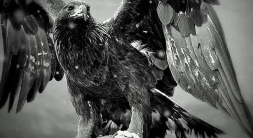 KARAKARTAL DORTMUND'U AĞIRLIYOR...