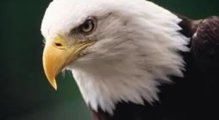 KARAKARTAL'A ADİDAS DESTEĞİ!..