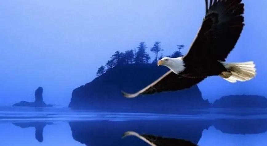 KARTAL 2.YARIDA UÇTU!