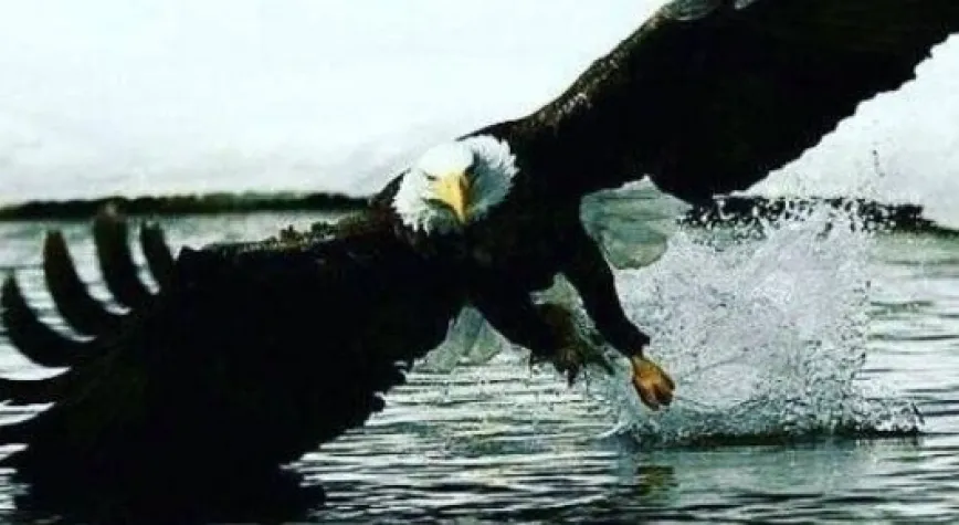 KARTAL GENÇLERİYLE GÜZEL!..