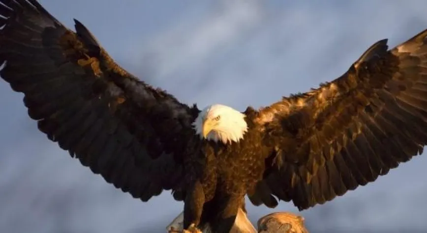 KARTAL UÇMAYI UNUTTU: 0- 0