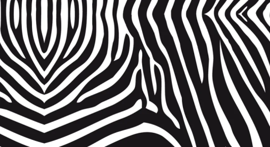 PARTİZAN- BEŞİKTAŞ MAÇININ KANALI...