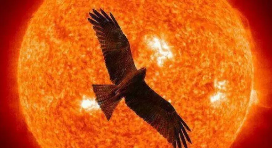 ŞAMPİYONLAR LİGİ'NDE KARTAL'IN RAKİPLERİ...