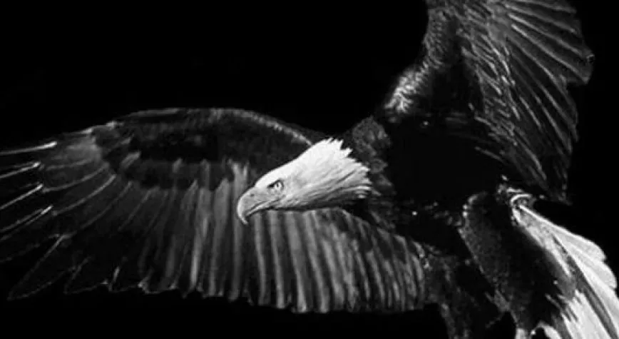 VLEMİNCKX KARTAL'A MI GELİYOR?