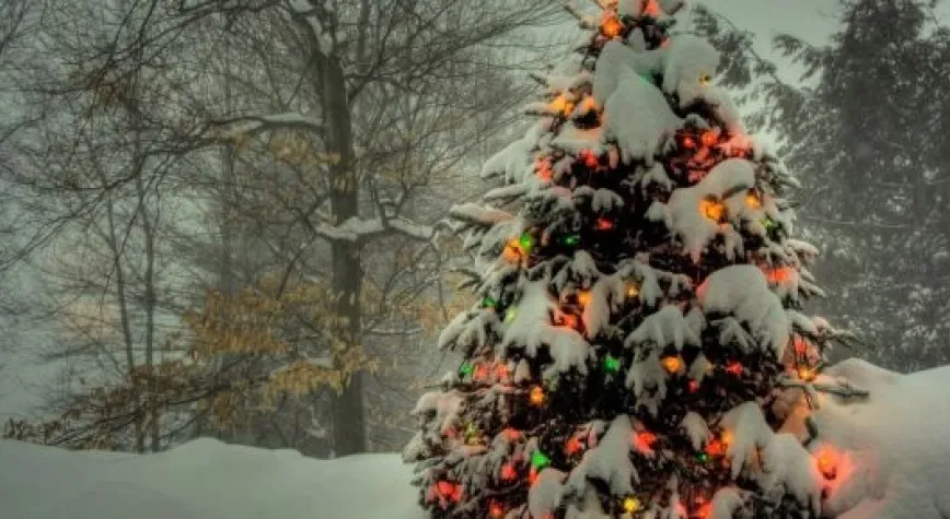 YENİ YILINIZ KUTLU OLSUN!..